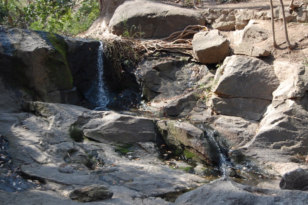 Reedy River Falls (40)