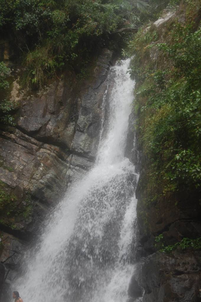 La Mina Falls is a 35 foot / 11 meter tall waterfall in El Yunque National Forest on Puerto Rico.