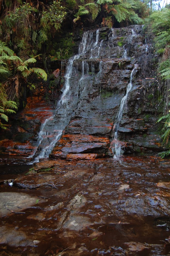This is an unnamed waterfall in the Blue Mountains National Park, New South Wales, Australia. It is approximately 15 feet / 5 meters tall.