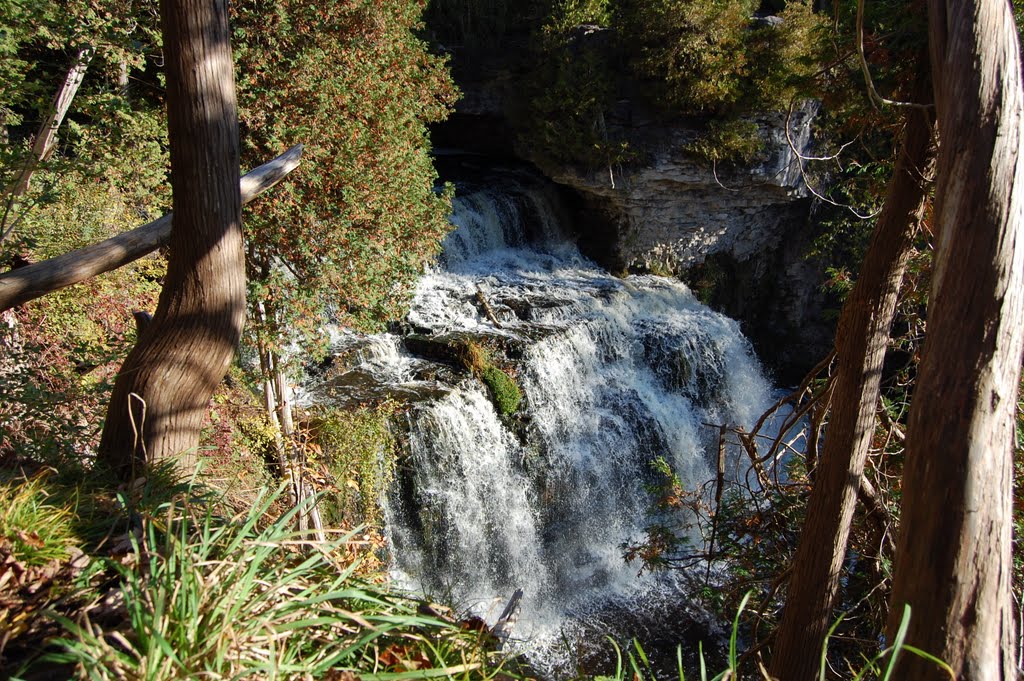 Jones Falls is a tiered waterfall in Owen Sound, Ontario. The waterfall is partly blocked by trees.
