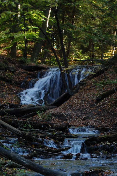 Weaver’s Creek Falls,&nbsp;Ontario