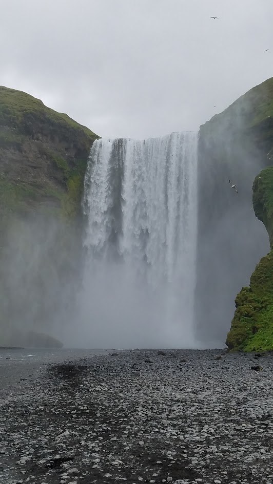 Skógafoss is 197 feet / 60 meters tall and an impressive 60 feet/ 20 meters wide. You can walk extremely close to the falls. In this photo, I am standing in the dry area of the river. There are many seagulls also flying around the falls.