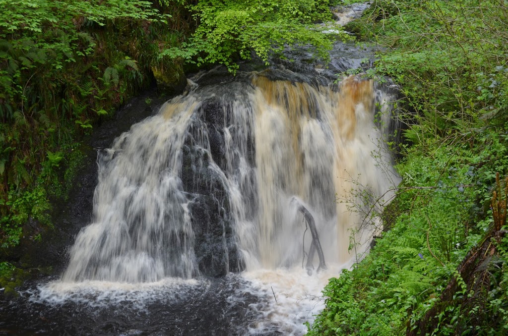 This is a waterfall in Glenariff Forest Park in Northern Ireland. The waterfall is about 10 feet or 3 meters tall.