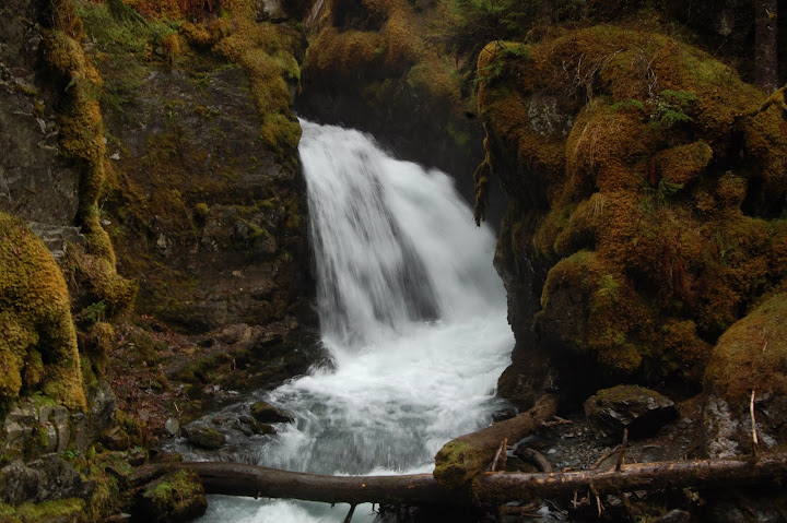 Virgin Creek Falls is a 15 foot / 5 meter tall waterfall in Alaska. The rocks around the falls are covered with an usually large amount of mosses and ferns.