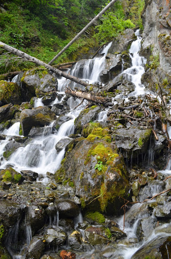 The middle portion of Pioneer Falls (in August 2014)