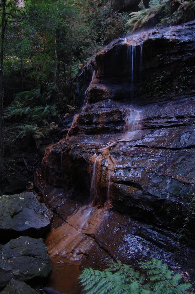 Witch's Leap is a 20 foot / 6 meter tall waterfall in the Blue Mountains of Australia. There isn't much water flowing over the falls.