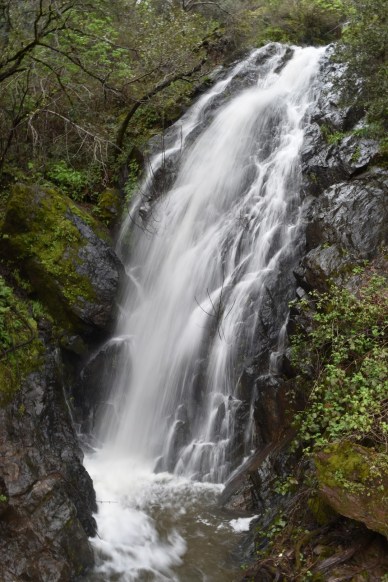 Black Hole of Calcutta Falls (8)