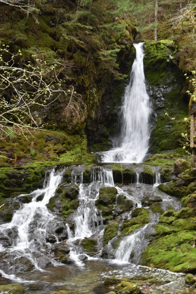 Dickson Falls is a 26 foot / 8 meter tall waterfall that has multiple drops. Green moss grows along the rocks around the waterfall.