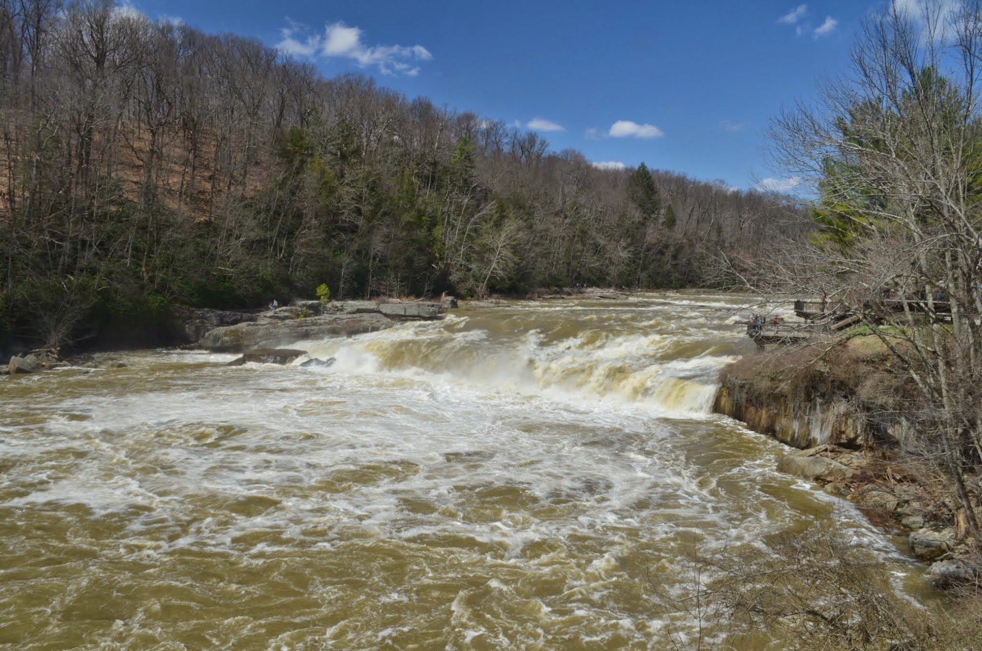 Ohiopyle Falls is a wide, but not tall waterfall. The falls are reported to be 15 feet or 5 meters tall, but there's so much water flowing that it's hard to tell it's that tall. On the other hand, it's probably 100 feet / 30 meters wide, and this is at a higher flow of water.