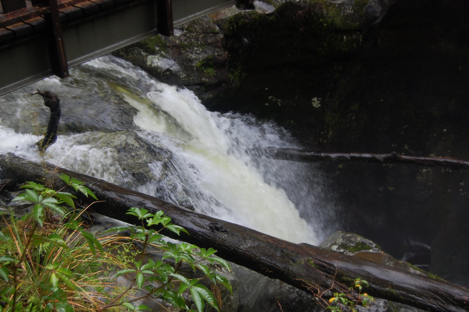 The Chasm is a waterfall in Fiordland National Park in New Zealand. It is difficult to view since it plunges into a narrow canyon. There is a bridge above the waterfall.