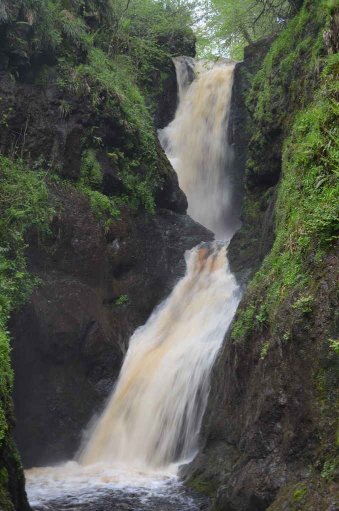 Ess Na Larach Falls is a 35 foot / 10 meter tall waterfall in  Glenariff Forest Park in Northern Ireland.