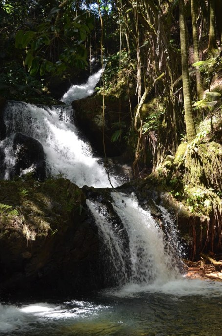Onomea Falls (5)