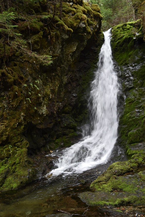 Dickson Falls is a 26 foot / 8 meter tall waterfall that has multiple drops. Green moss grows along the rocks around the waterfall.
