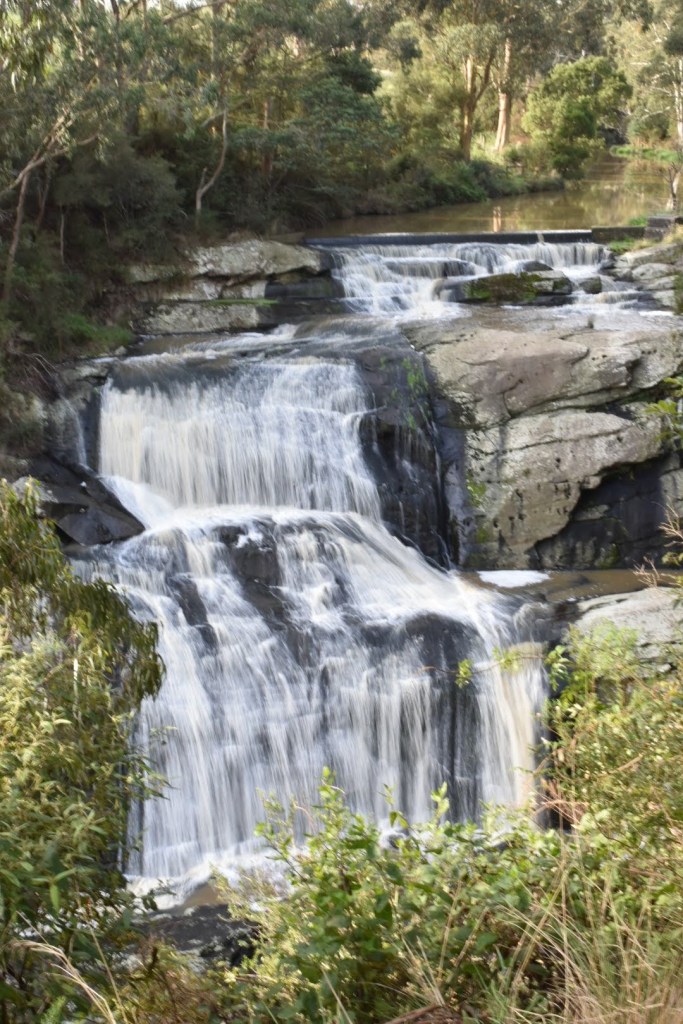 Agnes Falls is a long waterfall in Victoria, Australia. It is 194 feet / 59 meters that drops over a long distance.