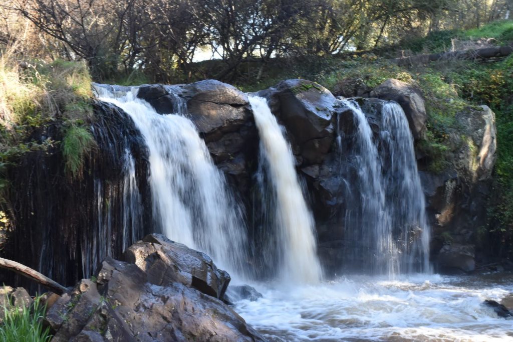 Narracan Falls is a 15 foot / 5 meter tall waterfall in Victoria, Australia.