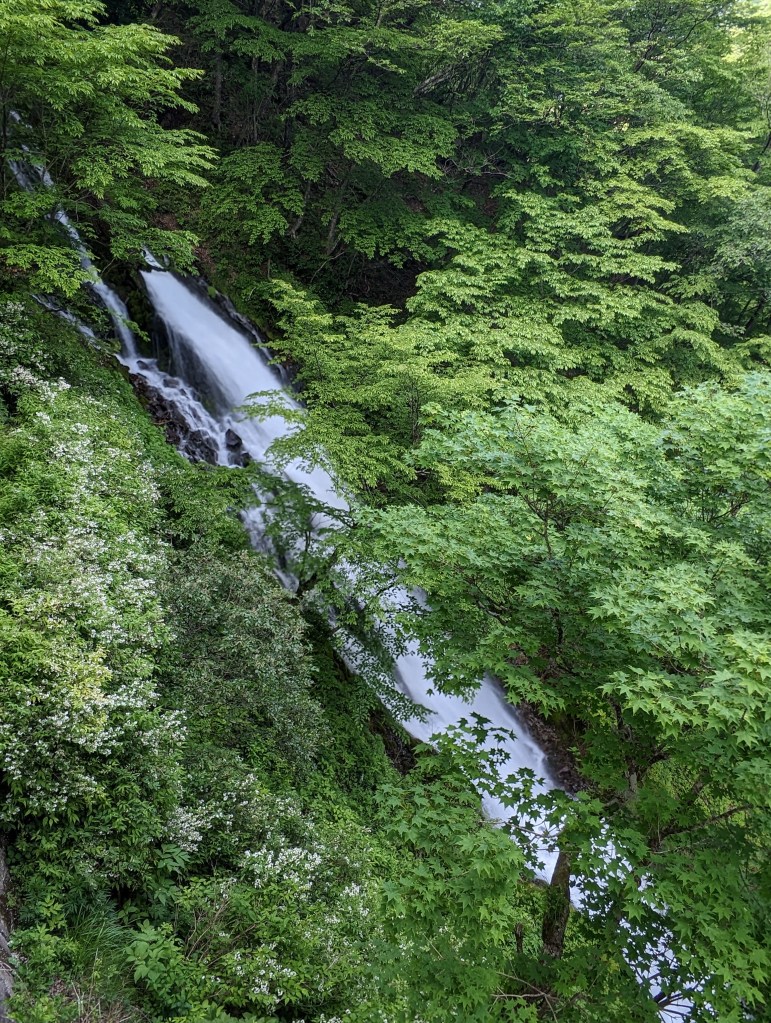 This is Nehon Falls in Tochigi Prefecture, Japan. This waterfall is 166 feet / 51 meters tall, though the view is obstructed by trees.