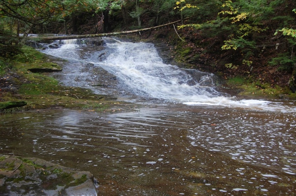 This is Little Union Gorge Falls, a waterfall in the Upper Peninsula of Michigan. This specific drop on the river is only about 12 feet (4 meters) tall. The river is wide, though.