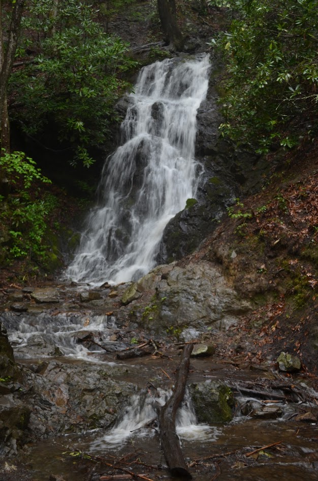 Cataract Falls is a 30 foot / 9 meter tall waterfall found in the Great Smoky Mountains National Park in Tennessee. Rhododendrons surround the waterfall.