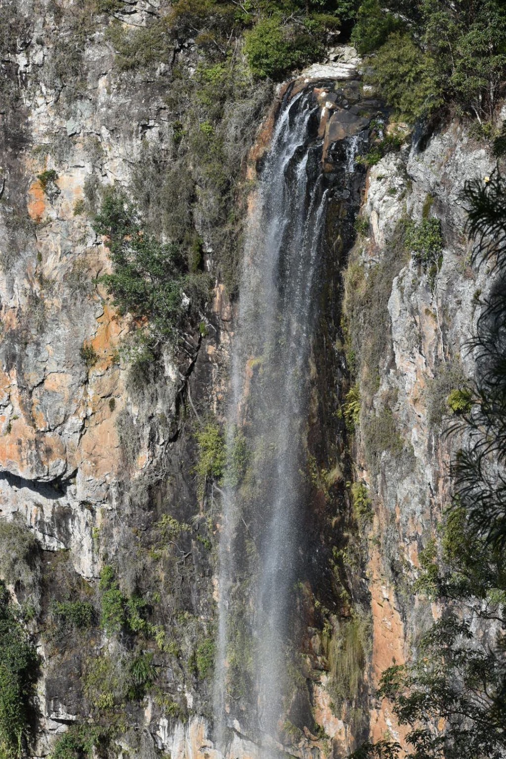 Purling Brook Falls,&nbsp;Queensland