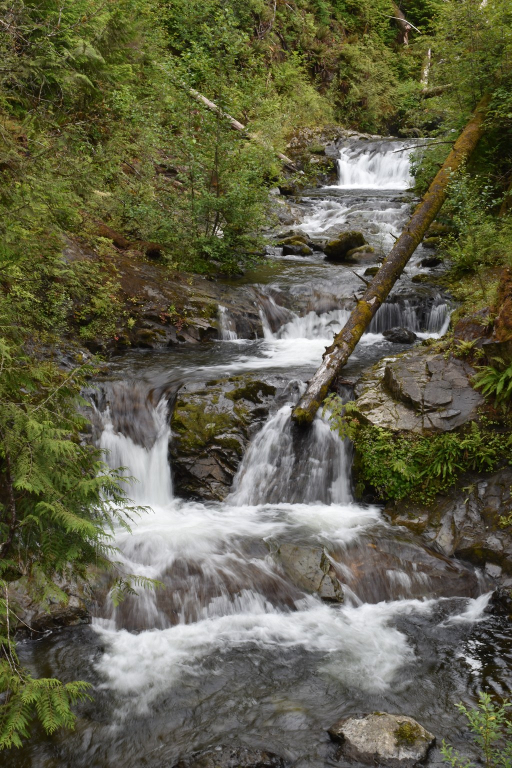 Gatton Creek Falls,&nbsp;Washington